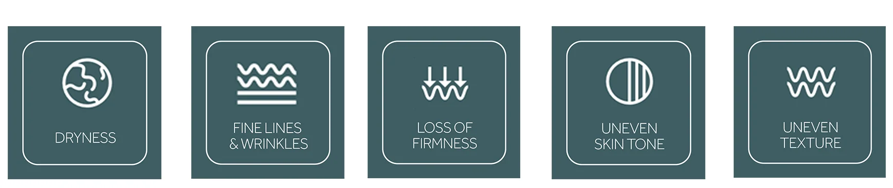 Dryness, fine lines and wrinkles, loss of firmness, uneven skin tone, uneven testure