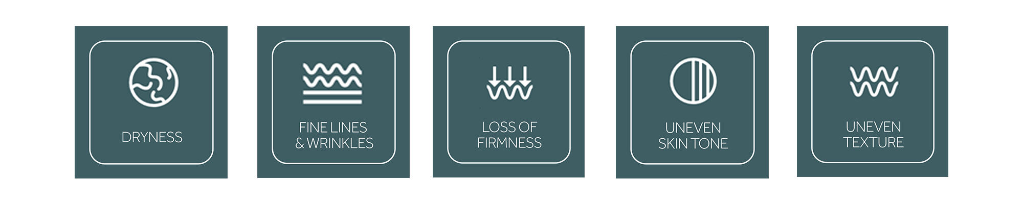 Dryness, fine lines and wrinkles, loss of firmness, uneven skin tone, uneven texture