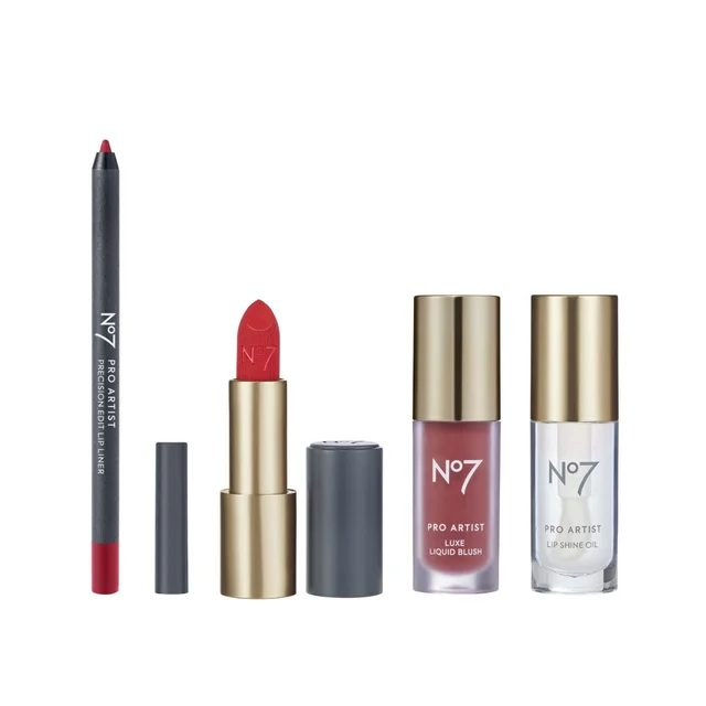 No7 Pro Artist Lip & Cheek Collection 4 Piece Bundle
