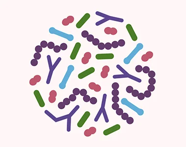 Everything you need to know about the microbiome