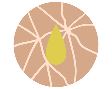 COMBINATION SKIN