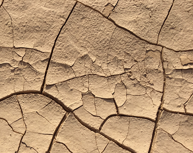 UNDERSTANDING ECZEMA: SYMPTOMS, CAUSES & EFFECTIVE SELF-CARE